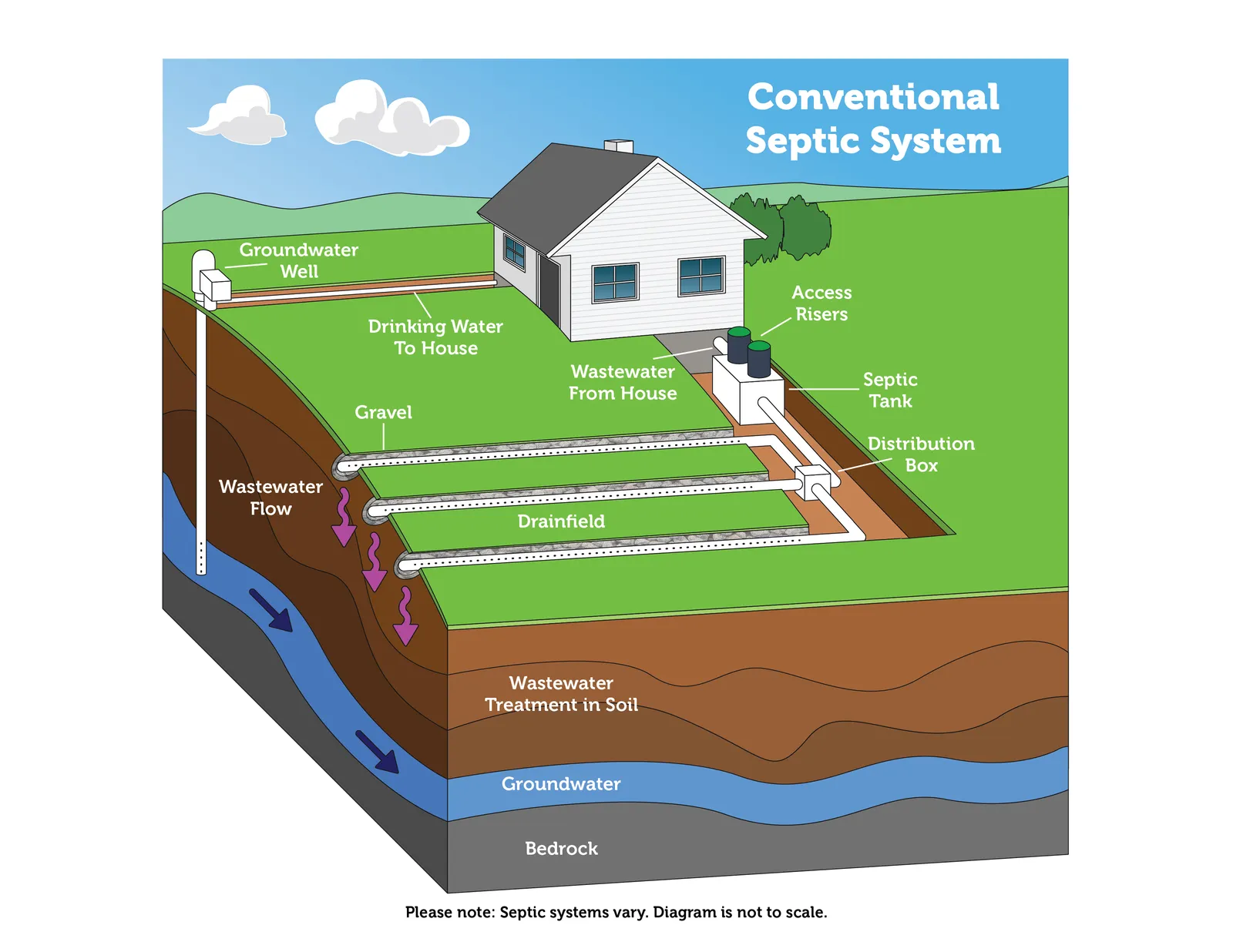 Cross-section diagram of a septic system showing the drain line from the house, the septic tank, the distribution box, the drain field trenches, and the soil beneath them
